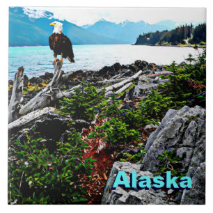 Azulejo De Cerâmica Bald Eagle Na Costa Do Alasca