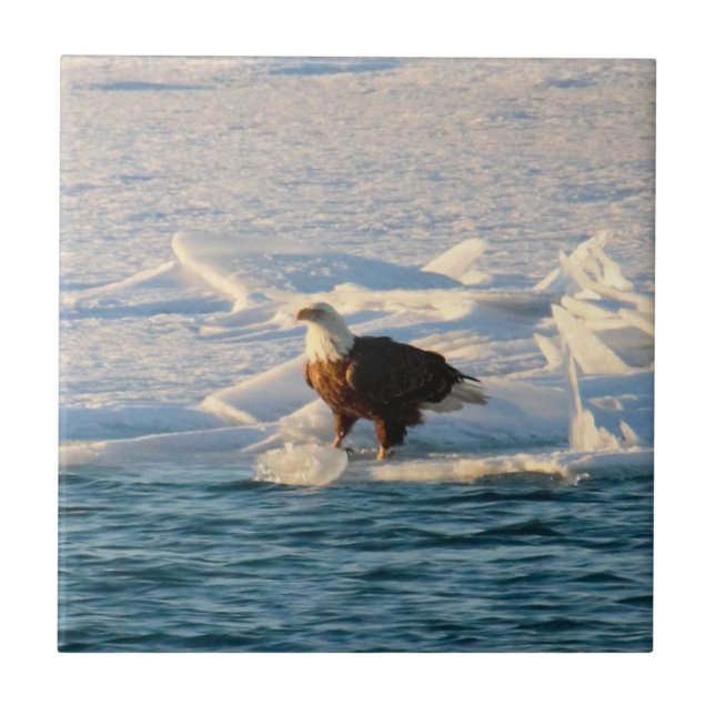 Azulejo De Cerâmica Bald Eagle no lago Icy (Frente)