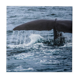 Azulejo De Cerâmica Baleia de esperma