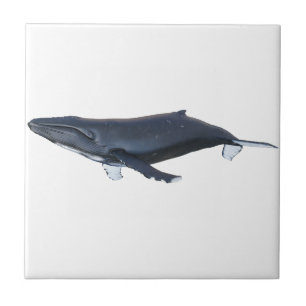 Azulejo De Cerâmica Baleia de Humpback no perfil