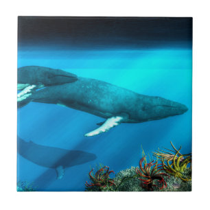 Azulejo De Cerâmica Baleias de Humpback