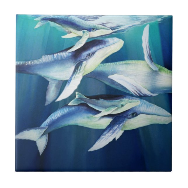 Azulejo De Cerâmica Baleias de Humpback (Frente)