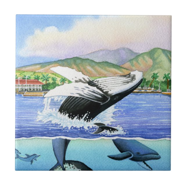 Azulejo De Cerâmica Baleias de Humpback (Frente)