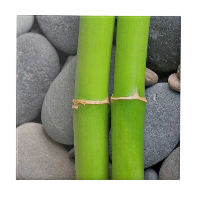 Azulejo De Cerâmica Bambu e seixo (Frente)