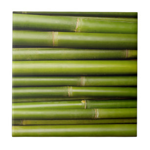 Azulejo De Cerâmica Bambu tropical verde