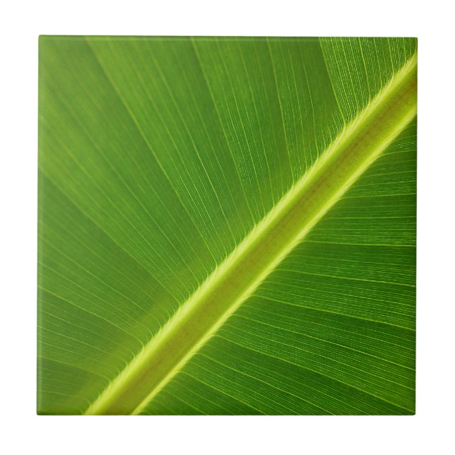 Azulejo De Cerâmica Banana Leaf (Frente)
