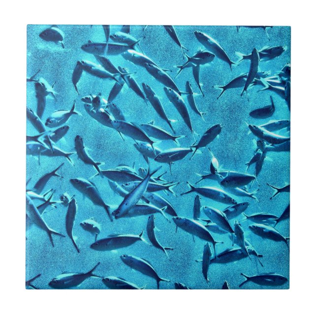 Azulejo De Cerâmica Banco de areia dos peixes (Frente)