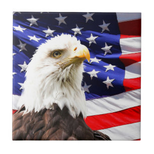 Azulejo De Cerâmica Bandeira Americana e Águia Balda