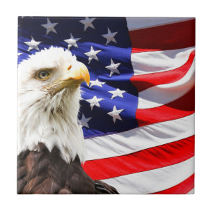 Azulejo De Cerâmica Bandeira Americana e Águia Balda