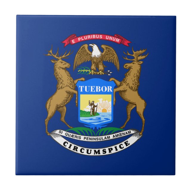 Azulejo De Cerâmica Bandeira do Estado de Michigan (Frente)