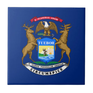 Azulejo De Cerâmica Bandeira do Estado do Michigan