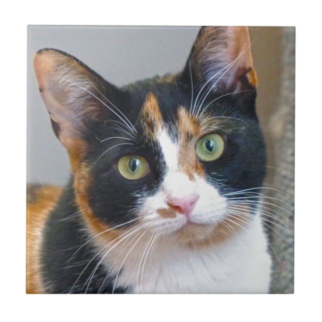 Azulejo De Cerâmica Bandido (Frente)