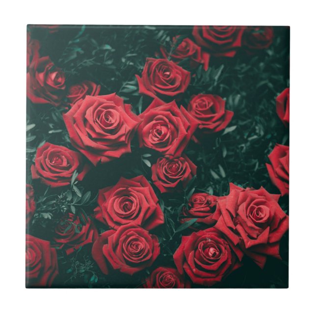 Azulejo De Cerâmica Bando de rosas vermelhas (Frente)