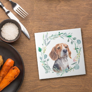 Azulejo De Cerâmica Banheira de Cachorros Cachorros