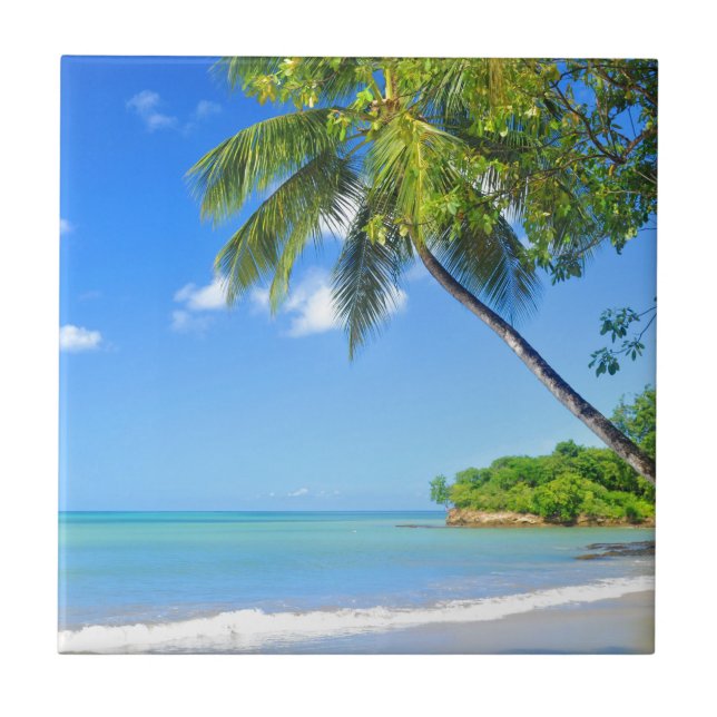 Azulejo De Cerâmica Barbados (Frente)