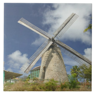 Azulejo De Cerâmica BARBADOS, Costa Nordeste, Morgan Lewis: Morgan