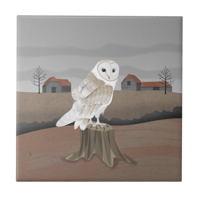 Azulejo De Cerâmica Barn Owl (Frente)