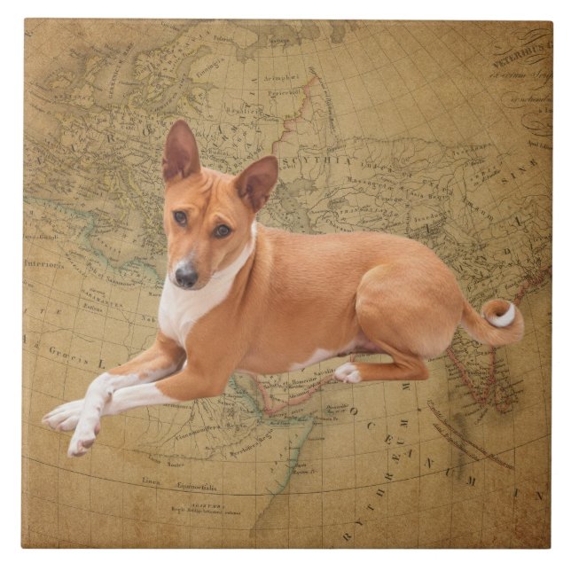 Azulejo De Cerâmica Basenji Dog  (Frente)