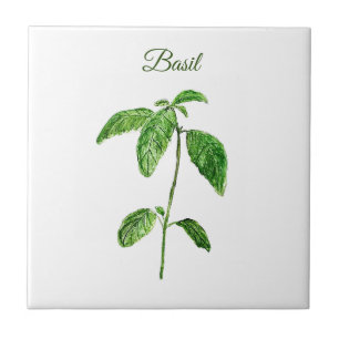 Azulejo De Cerâmica Basil Herb Greenery Kitchen Culinária Rústica Ve