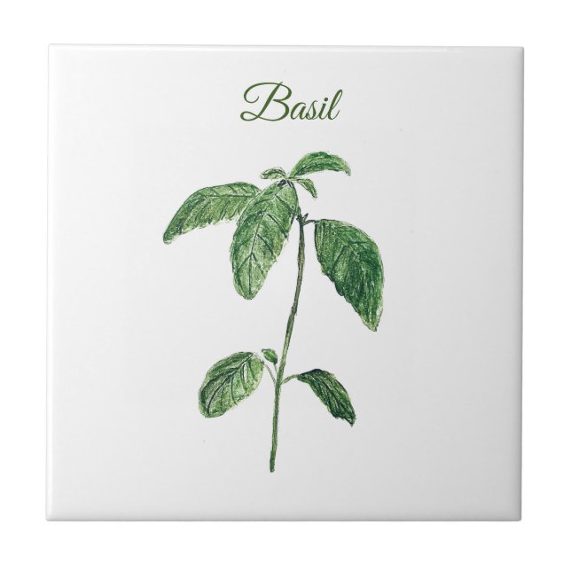Azulejo De Cerâmica Basil Herb Greenery Kitchen Culinária Rústica Verd (Frente)