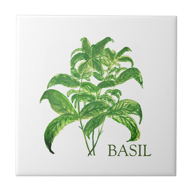 Azulejo De Cerâmica Basil Herb Greenery Kitchen Verde Culinário (Frente)