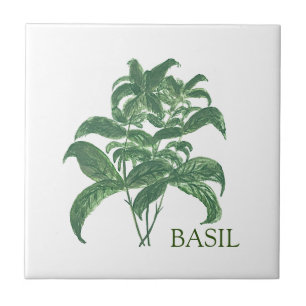 Azulejo De Cerâmica Basil Herb Greenery Kitchen Verde Culinário