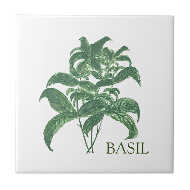 Azulejo De Cerâmica Basil Herb Greenery Kitchen Verde Culinário (Frente)