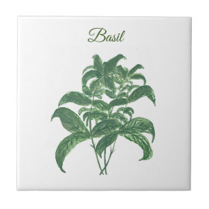 Azulejo De Cerâmica Basil Herbs Greeneren Kitchen Green Plant