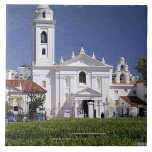 Azulejo De Cerâmica Basilica Nuestra Senora del Pilar em Recoleta