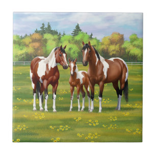 Azulejo De Cerâmica Bay Pinto Paint Quarter Horses Na Pastagem De Verã