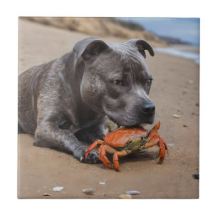 Azulejo De Cerâmica "Beachside Pals: Um Staffy e seu companheiro de ca