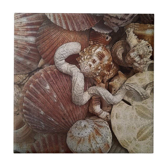 Azulejo De Cerâmica Beachy Seashells - Dólar de areia (Frente)