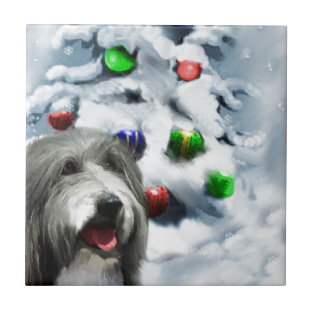 Azulejo De Cerâmica Bearded Collie Christmas (Frente)
