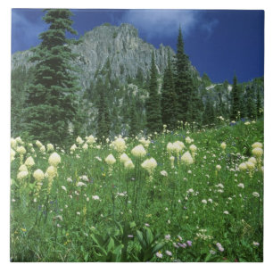 Azulejo De Cerâmica Beargrass no lago Eunice, Mt. Rainier NP, WA,