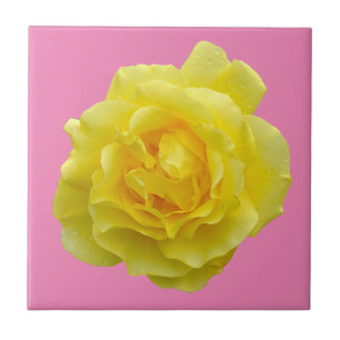Azulejo De Cerâmica Beautiful yellow rose