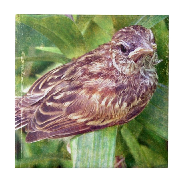 Azulejo De Cerâmica Bebê (Frente)