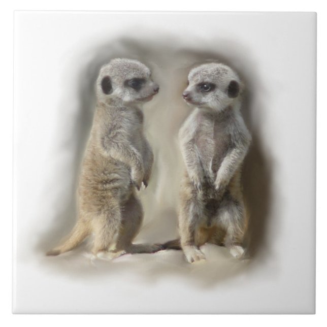 Azulejo De Cerâmica bebês do meerkat (Frente)
