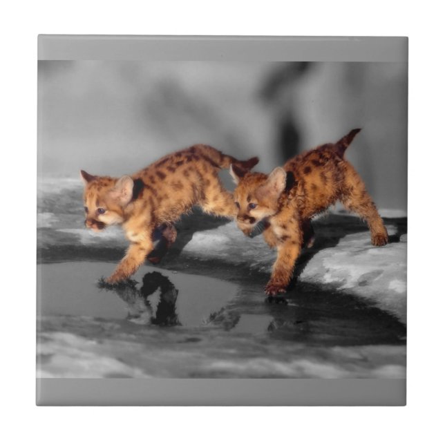 Azulejo De Cerâmica Bebês Leopardos (Frente)
