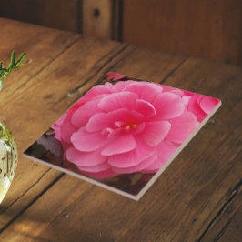 Azulejo De Cerâmica Begônia Tuberosa Flor Rosa