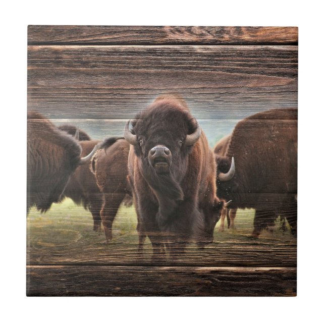 Azulejo De Cerâmica Bela Búfalo Herd (Frente)