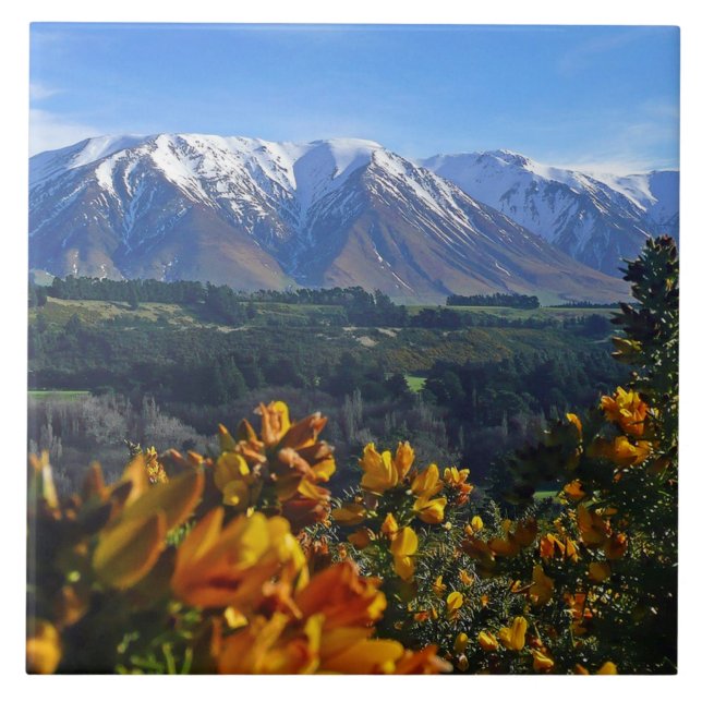 Azulejo De Cerâmica Bela Nova Zelândia (Frente)