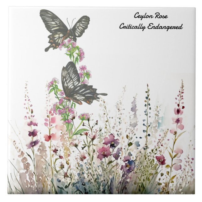 Azulejo De Cerâmica Bela Rosa de Ceilão pintada à mão (Frente)