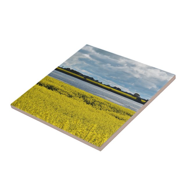 Azulejo De Cerâmica Bela Streatham Dramática (Lateral)