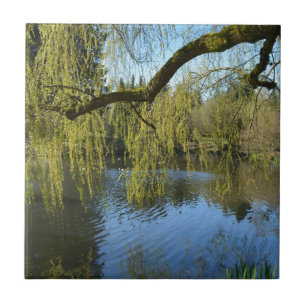 Azulejo De Cerâmica belas árvores salgueiras primavera por lagoa d'águ
