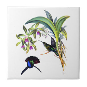 Azulejo De Cerâmica Belas aves e orquídeas roxas