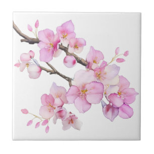 Azulejo De Cerâmica Belas flores de cerejeira em aquarela rosa