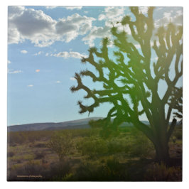 Azulejo De Cerâmica Beleza do Deserto