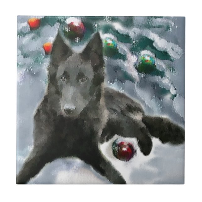 Azulejo De Cerâmica Belga - Sheepdog Natal (Frente)