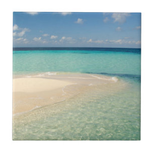 Azulejo De Cerâmica Belize, Mar do Caribe. Goff Caye, Uma Pequena Ilha