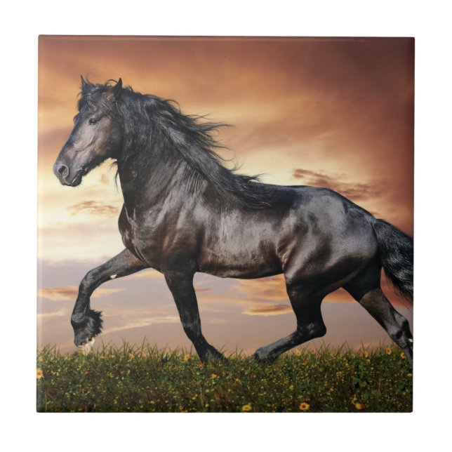 Azulejo De Cerâmica Belo Cavalo Negro (Frente)